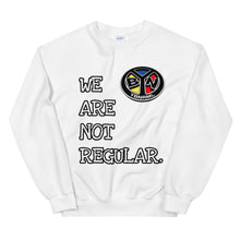 Load image into Gallery viewer, Un-Regular YBNRML Multi Sweatshirt