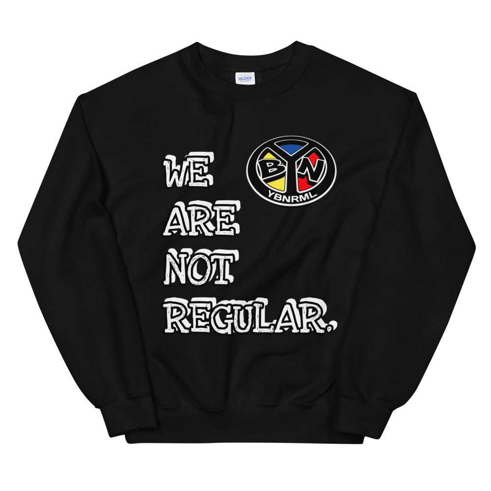 Un-Regular YBNRML Multi Sweatshirt